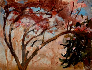 Jan Ciągliński - Crimea (Magnolia) - MNK II-b-395 - National Museum Kraków