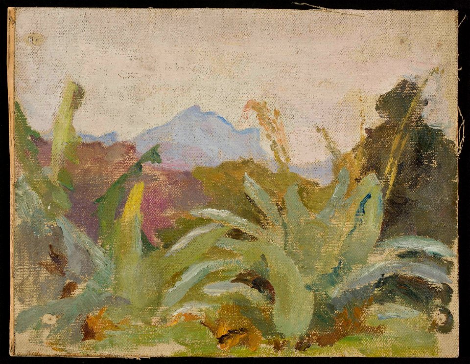 Jan Ciągliński - Ceylon, Adam’s Peak landscape. From the journey to India - MP 1685 MNW - National Museum in Warsaw