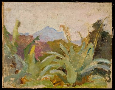 Jan Ciągliński - Ceylon, Adam’s Peak landscape. From the journey to India - MP 1685 MNW - National Museum in Warsaw