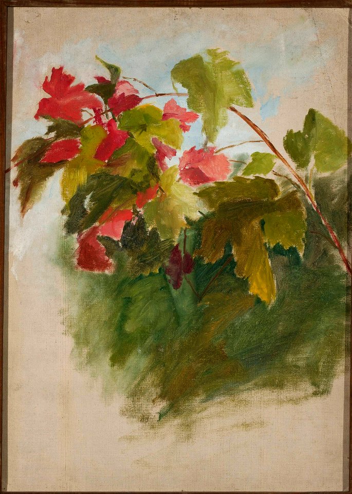 Jan Ciągliński - Vine leaves - MP 1749 MNW - National Museum in Warsaw