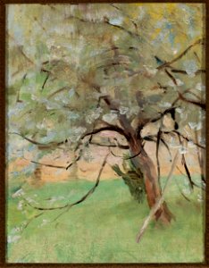 Jan Ciągliński - Apple tree - MP 5020 MNW - National Museum in Warsaw