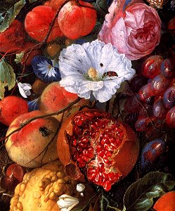 Jan Davidsz. de Heem - Festoon of Fruit and Flowers (detail) - WGA11275. Free illustration for personal and commercial use.