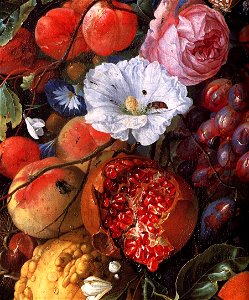Jan Davidsz. de Heem - Festoon of Fruit and Flowers (detail) - WGA11275