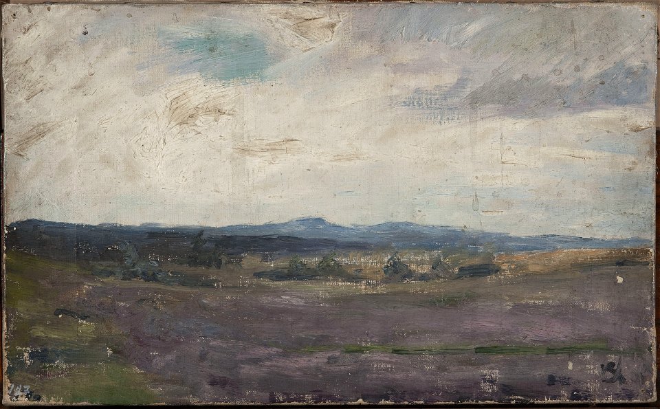 Jan Ciągliński - Landscape in Finland -^- - MP 1836 MNW - National Museum in Warsaw