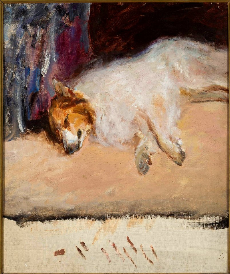 Jan Ciągliński - Study of a sleeping dog for the “Portrait of Prince Golitsyn” - MP 1760 MNW - National Museum in Warsaw