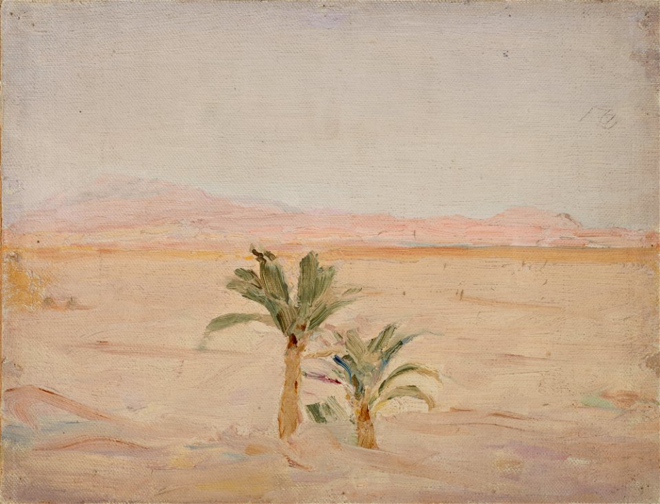Jan Ciągliński - Sahara (Desert) - MNK II-b-419 - National Museum Kraków