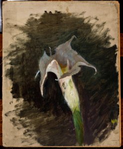 Jan Ciągliński - Flower - MP 1821 MNW - National Museum in Warsaw
