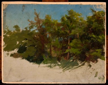Jan Ciągliński - Study from Podolia - MP 1854 MNW - National Museum in Warsaw