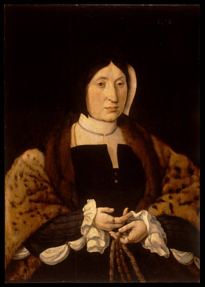 Jan Cornelis Vermeyen - Portrait of a Woman in a Leopard Cloak - Walters 37370