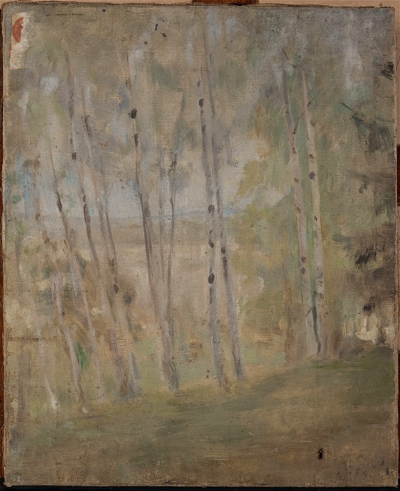 Jan Ciągliński - Maryino – birch trees - MP 1861 MNW - National Museum in Warsaw