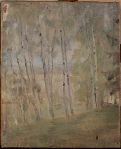 Jan Ciągliński - Maryino – birch trees - MP 1861 MNW - National Museum in Warsaw