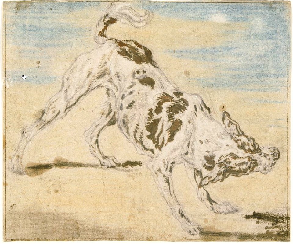 Jan Fyt - Barking dog