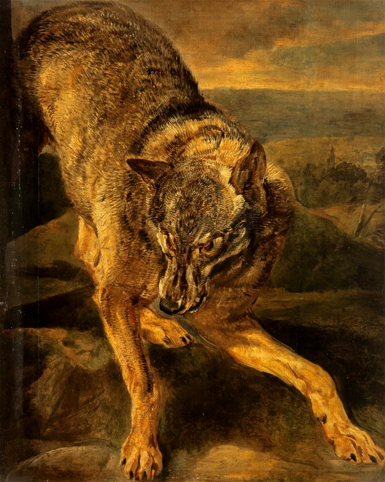 Jan Fyt - A wolf