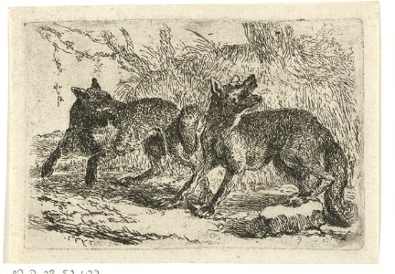 Jan Fyt - Two wolves