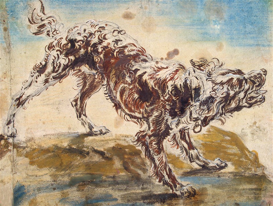 Jan Fyt - Study of a Dog