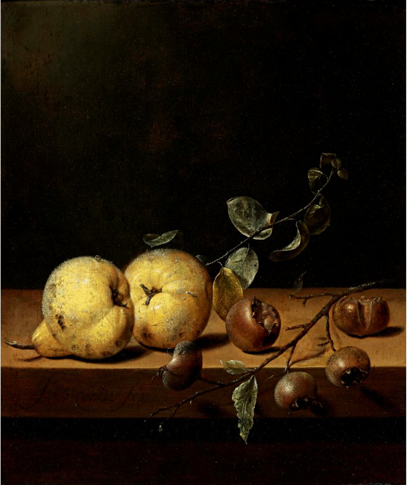 Jan Jansz van de Velde - Quinces and Medlars on a Table Ledge N08404-56-lr-1