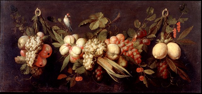 Jan Frans van Son (Attr.) - Still Life with Fruit and a Bird - Google Art Project. Free illustration for personal and commercial use.
