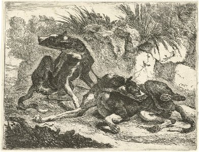 Jan Fijt - Two dogs