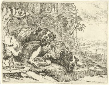 Jan Fyt - Two lying dogs