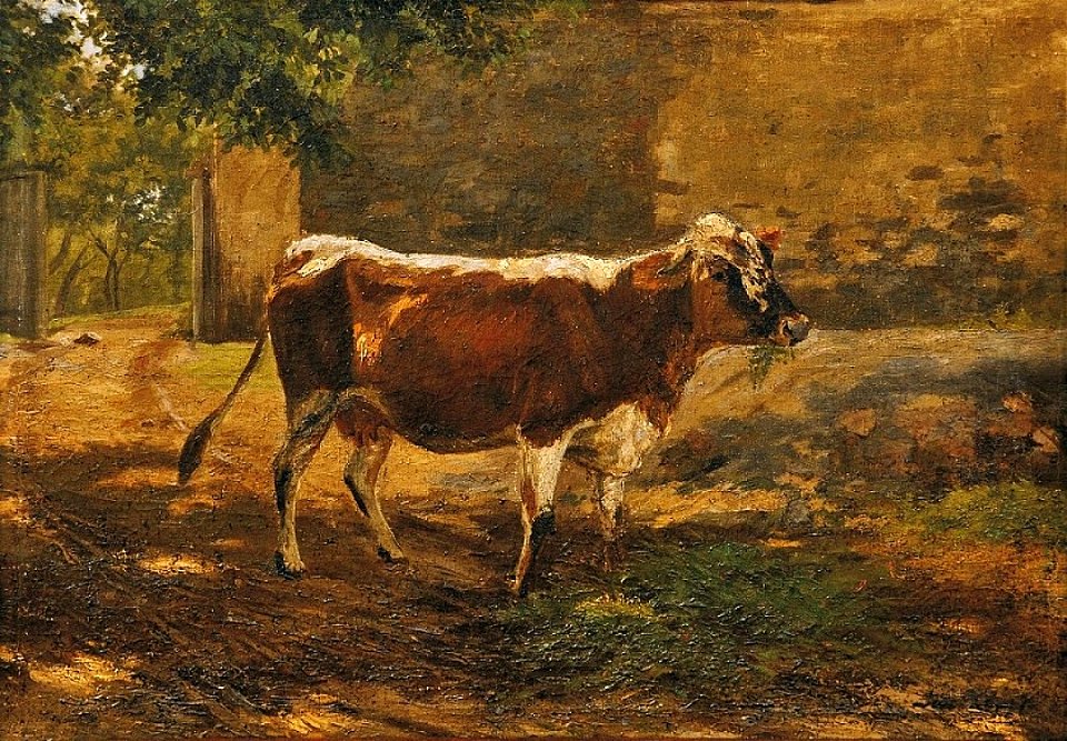 Jan Köppl Kráva na pastvě