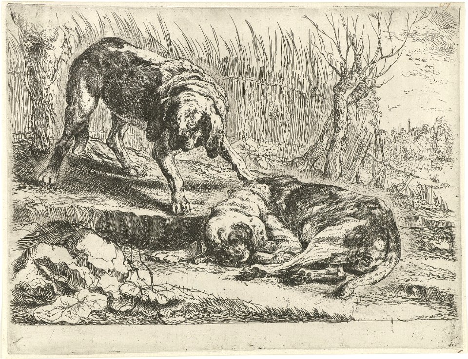 Jan Fyt - Two dogs