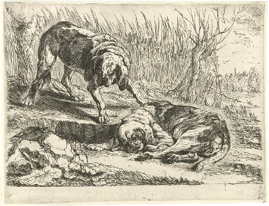 Jan Fyt - Two dogs