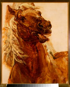 Jan Matejko - Sketch of horse’s head for the painting “Zamoyski at Byczyna” - MP 1245 MNW - National Museum in Warsaw