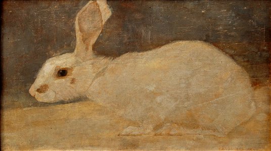 Jan Mankes, Witte konijn, Centraal Museum Utrecht, x22131