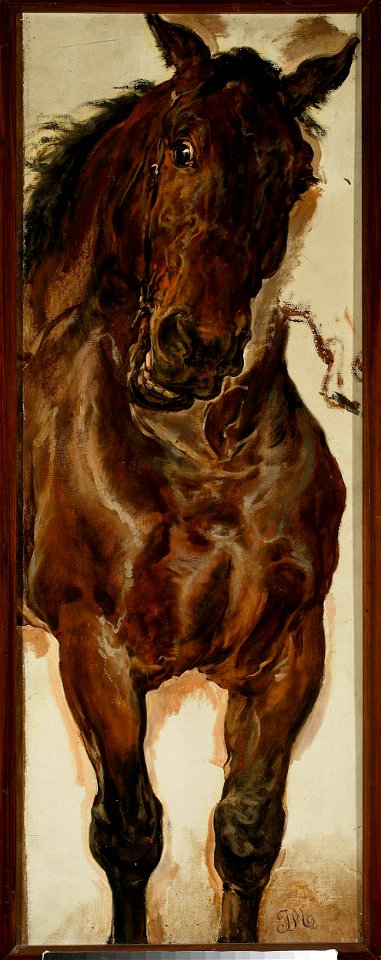 Jan Matejko - Study of a horse's head for “Battle of Grunwald” - MP 5001 MNW - National Museum in Warsaw. Free illustration for personal and commercial use.