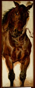 Jan Matejko - Study of a horse's head for “Battle of Grunwald” - MP 5001 MNW - National Museum in Warsaw