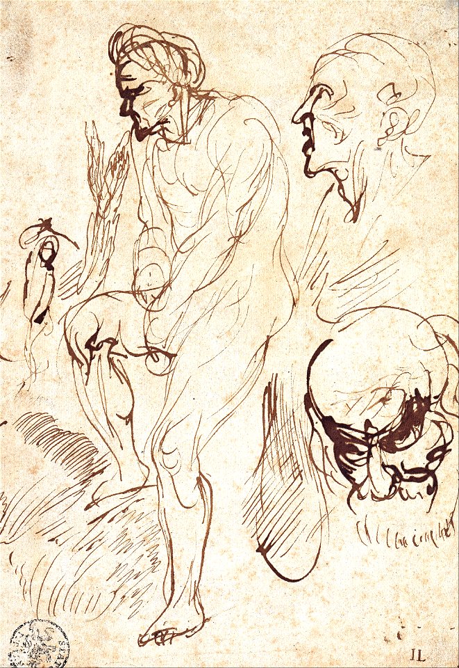 Jan Lievens - Studies after the Model - Google Art Project