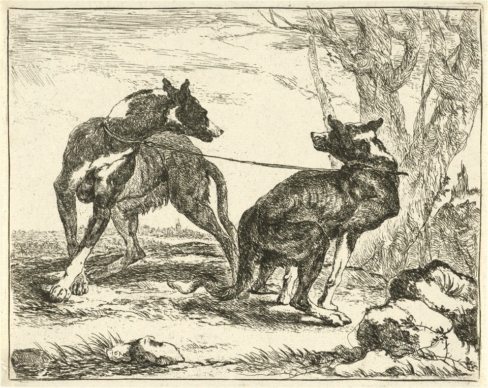 Jan Fyt - Two dogs (2)