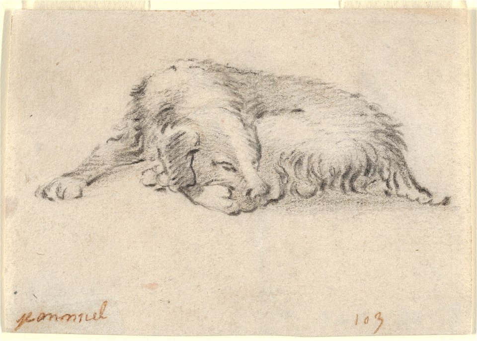 Jan Miel - Study of a Sleeping Dog