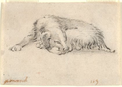Jan Miel - Study of a Sleeping Dog