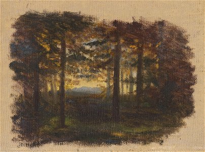 Jan Novopacký - In the Woods before Sunset - O 3569 - Slovak National Gallery