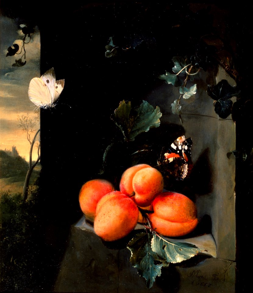 Jan Mortel - Still Life with Apricots and Butterflies - 2012.279 - Museum of Fine Arts
