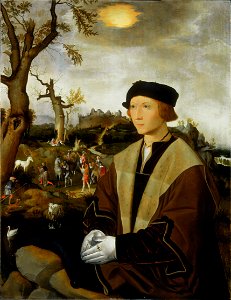 Jan Mostaert - Portrait of a Young Man - Google Art Project. Free illustration for personal and commercial use.