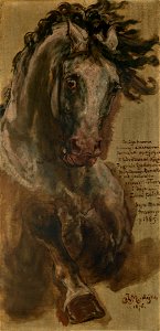 Jan Matejko - Study for the Horse of Grand Duke of Lithuania Vytautas for the Painting The Battle of Grunwald - MNK XII-452 - National Museum Kraków. Free illustration for personal and commercial use.