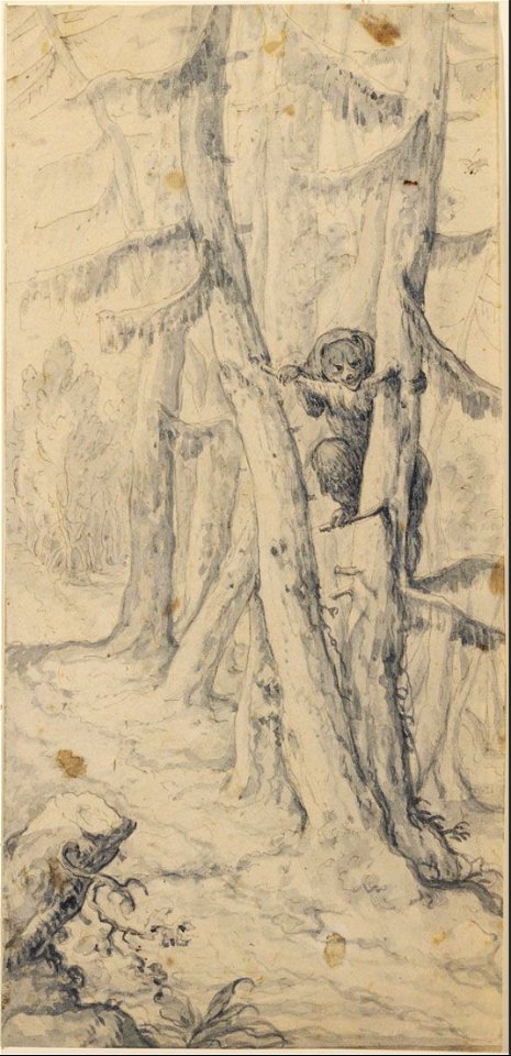Jan Roos - Landscape with a Bear Climbing a Pine