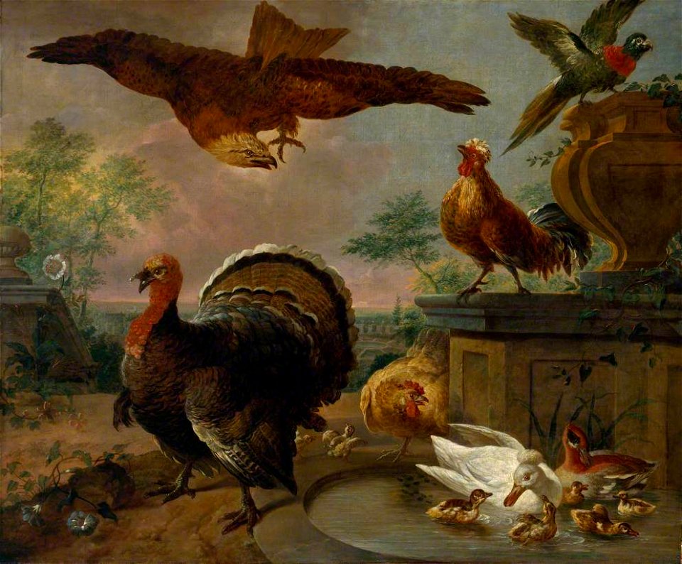 Jan Griffier I (c.1652-1718) - A Turkey and other Fowl in a Park - T04129 - Tate