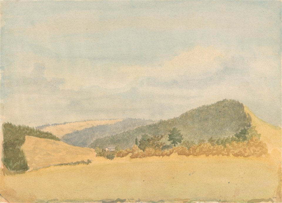Jan Novopacký - Summer Landscape - K 6474 - Slovak National Gallery