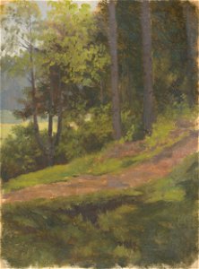 Jan Novopacký - Path on the Edge of the Forest - O 3571 - Slovak National Gallery. Free illustration for personal and commercial use.