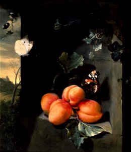 Jan Mortel - Still Life with Apricotes and Butterflies - Google Art Project
