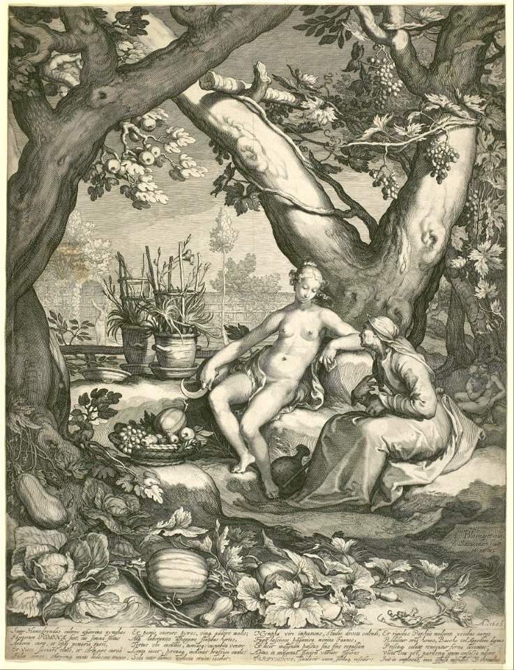 Jan Pietersz. Saenredam - Vertumnus Borrowing the Figure of an Old Woman to Win Pomona's Love - Google Art Project