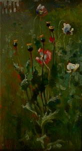 Jan Stanisławski - Poppies in Bloom - MNK II-b-2125 - National Museum Kraków