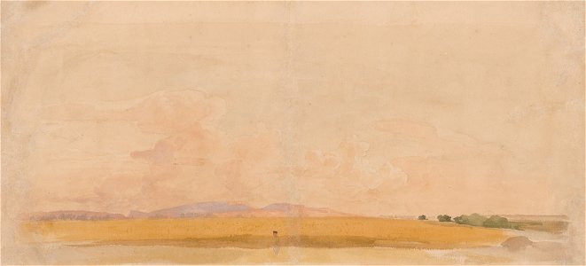 Jan Novopacký - Field - K 6446 - Slovak National Gallery