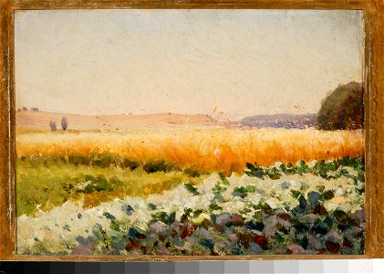 Jan Stanisławski - Field of cabbage - MP 4781 - National Museum in Warsaw