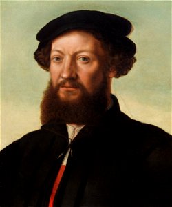 Jan Sanders van Hemessen - Portrait of a man. Free illustration for personal and commercial use.