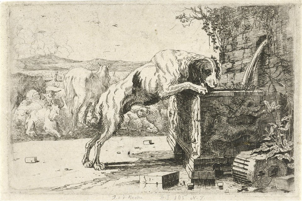 Jan van den Hecke - Dog drinking from a fountain