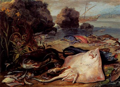 Jan van Kessel (I) - The Day's Catch (detail) - WGA12146